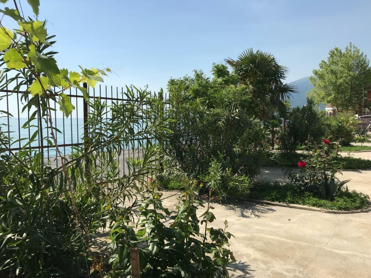 Hotel Davel Gagra Exteriér fotografie
